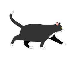 Walking fat cat. Profile of kitten with overweight or obese body condition. Domestic animal obesity vector