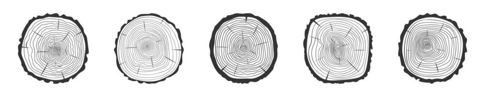 Tree rings icons set. Trunk cross section surface. Dendrochronology method to determine tree age. Wooden texture doodle stamps collection vector