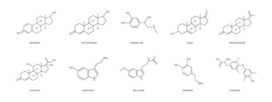Different hormons icons set. Estradiol, progesterone, testosterone, adrenaline, DHEA, cortizol, dopamine, serotonin, melatonin, thyroxine chemical molecular structure vector