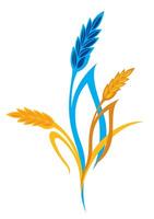 grano planta y cereal, centeno cebada y trigo oído Picos. panadería comida concepto. mano dibujado bosquejo ilustración. Ucrania trigo vector