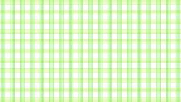 verde linea plaid tartan modello sfondo, movimento video