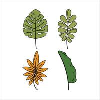 verano planta maravilloso elemento diseño vector