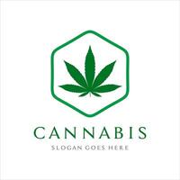 Cannabis leaf with hexagon shape logo design template vector