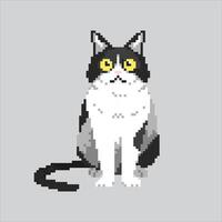 Pixel art illustration Cat Pet. Pixelated Cat Animal. Cat pet animal pixelated for the pixel art game and icon for website and game. old school retro. vector