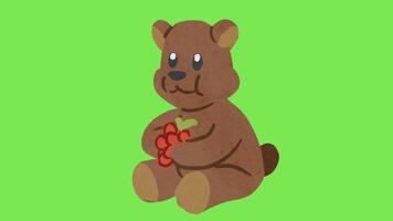 A motion graphics of a brown bear eating strawberry isolated on green background. video