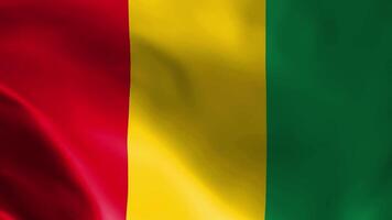 guinea flagga fladdrande i de vind. detaljerad tyg textur. video