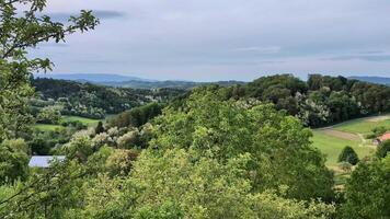 bellissimo pendio paesaggio con vigne, agricoltura e agricoltura sfondo, clenice, Croazia, contea hrvatsko zagorje video