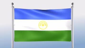 Bashkortostan Flag Hangs On The Pole On Both Sides video