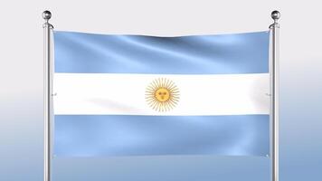 Argentina Flag Hangs On The Pole On Both Sides video