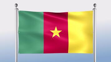 Camerún bandera cuelga en el polo en ambos lados video