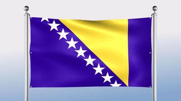 Bosnie et herzégovine drapeau bloque sur le pôle sur tous les deux côtés video