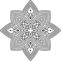 Mandala pattern design on white background vector