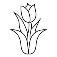 Hand drawn tulip outline illustration vector