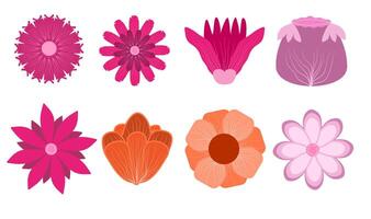 a collection of flower petals with pink, orange, pink, and purple color for your design vector