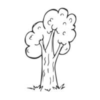 Sketchy tree sketch isolated, illustration hand drawn vector