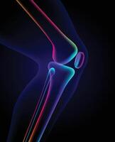 3D illustration of colorful knee bones in x-ray format on a dark blue background. vector
