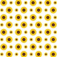 Sunflower ideal trendy multicolor repeating pattern illustration background design vector