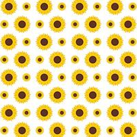 Sunflower ideal trendy multicolor repeating pattern illustration background design vector