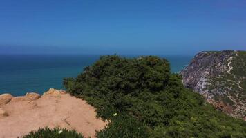 Ursa Beach, Two Sea Stacks, Cliffs and Atlantic Ocean Waves on Sunny Day. Portugal. Aerial View. Drone Moves Forward over Green Bushes at Low Level. Establishing Reveal Shot video