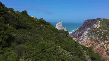 ursa playa, dos mar pilas, acantilados y atlántico Oceano olas en soleado día. Portugal. aéreo vista. zumbido se mueve adelante terminado verde arbustos a bajo nivel. estableciendo revelar Disparo video