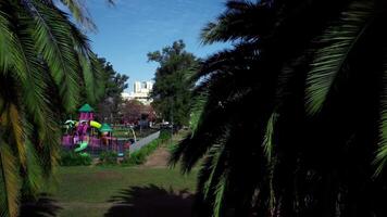 Sky and green park with palm trees and kids playground on sunny summer day. video