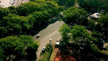 aereo fuco Visualizza di soleggiato giorno traffico, macchine su verde strada con alberi. all'aperto città paesaggio. urbano viaggio sfondo, superiore Visualizza parco, architettura. video