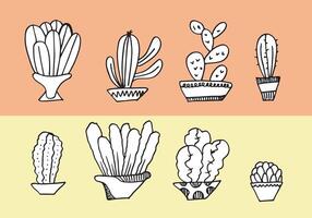 Cactus and succulents set. Hand drawn cacti illustration. vector