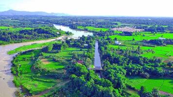 aéreo ver de maravilloso río y arroz campos paisaje video