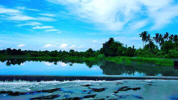 Aerial View of Stunning River and Rice Fields Landscape video