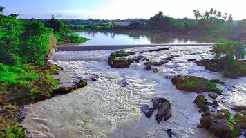 aéreo ver de maravilloso río y arroz campos paisaje video