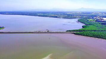 Aerial View of a Picturesque Pier and Mangrove Forest video