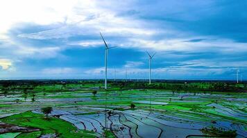 Antenne Aussicht von ein Wind Turbine Bauernhof mit Reis Reisfelder und ein schön Himmel video