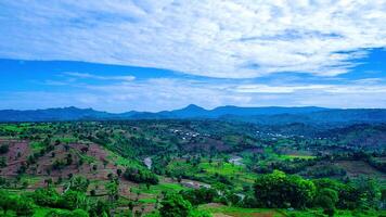 beautiful view of rice fields with taken using a drone video