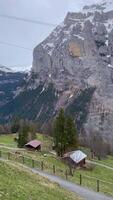 skön se i murren. de perfekt fläck till bevittna alpina landskap, schweiz. video
