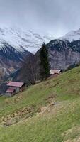 skön se i murren. de perfekt fläck till bevittna alpina landskap, schweiz. video