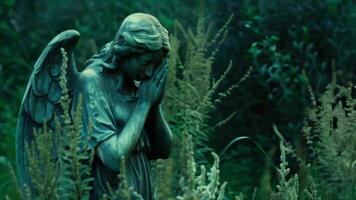 een angstaanjagend mooi standbeeld van een huilen engel staat temidden van de ly planten haar melancholisch uitdrukking spiegelen de troosteloos landschap. 2d vlak tekenfilm video