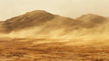 A desolate landscape of dusty ochre sands dotted with barren tumbleweeds spinning in the wind. 2d flat cartoon video