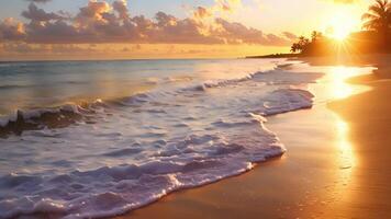 une paisible plage à le coucher du soleil comme le vagues doucement accalmie vous à sommeil dans régler avec le Naturel rythmes de le océan. video