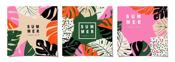 tropicales modelo conjunto para póster, cubrir, tarjeta, etiqueta, bandera en moderno minimalista estilo y sencillo verano diseño plantillas con tropical hojas, flor. vector