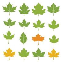 maple leaf silhouettes on the white background vector