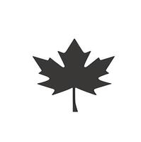 maple leaf silhouettes on the white background vector