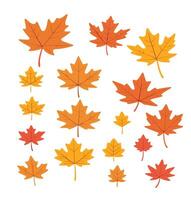 maple leaf silhouettes on the white background vector