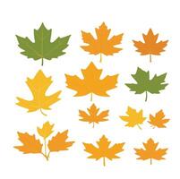 maple leaf silhouettes on the white background vector