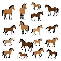 caballo animal plano ilustración diseño vector