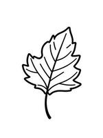 oak leaf silhouettes on the white background vector