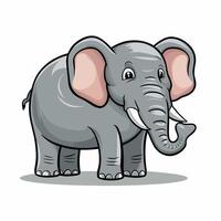 Elephant walking illustration, animals, Elephant at the zoo vector