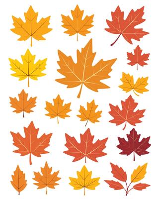 maple leaf silhouettes on the white background