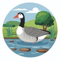 linda Pato aislado en blanco fondo, colección de aves, ilustración de pato real, Doméstico y mandarín patos vector