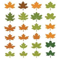 oak leaf silhouettes on the white background vector