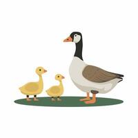 Set of cute white goose. goose illustration white background vector